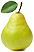 Canned Pear