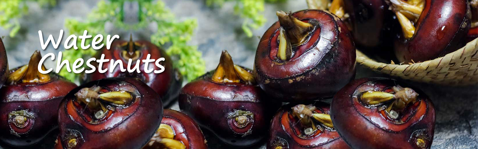 Canned Water Chestnuts